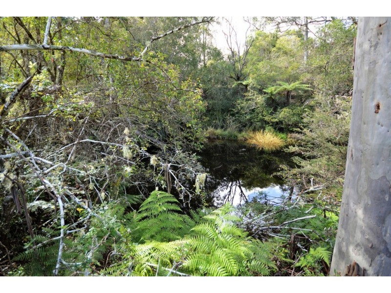 Lot 70 Timmsvale Road, Ulong NSW 2450