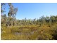 163 Parker Road, Wells Crossing NSW 2460