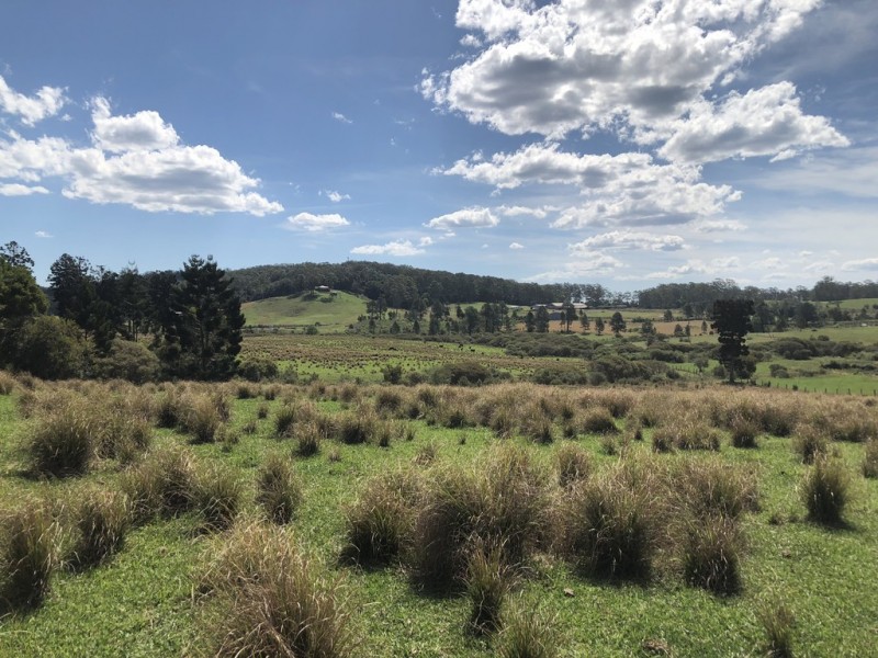 61 Lowanna Road, Lowanna NSW 2450