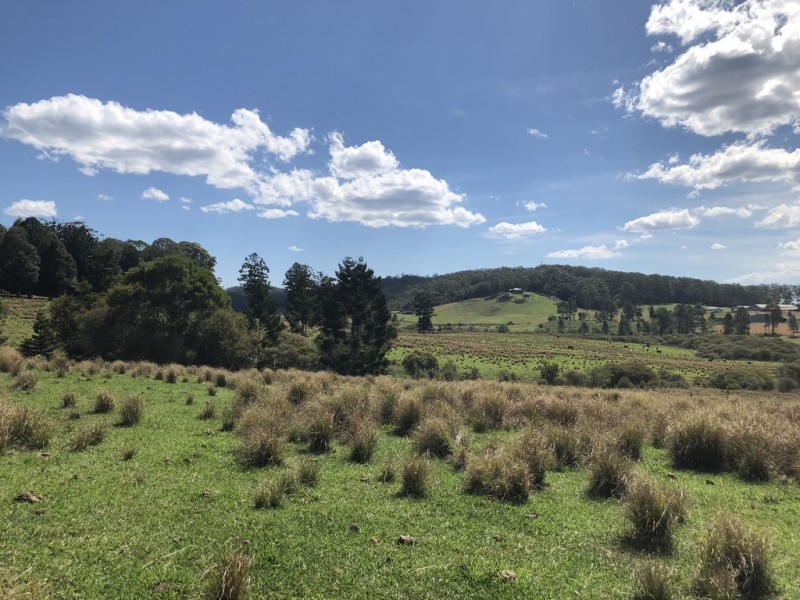 61 Lowanna Road, Lowanna NSW 2450