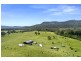 1860 Orara Way, Glenreagh NSW 2450