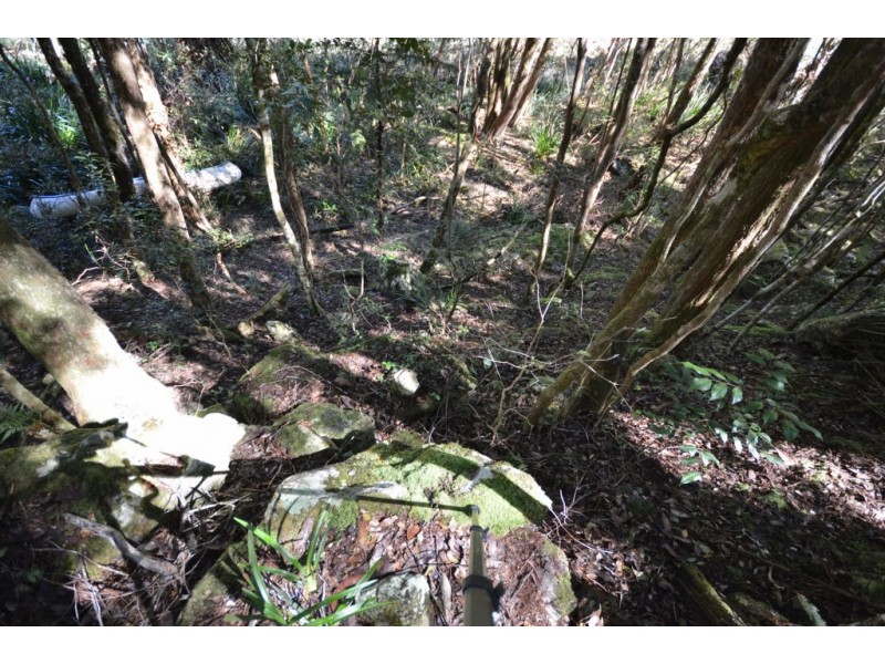 886 Camp Creek Road, Lowanna NSW 2450