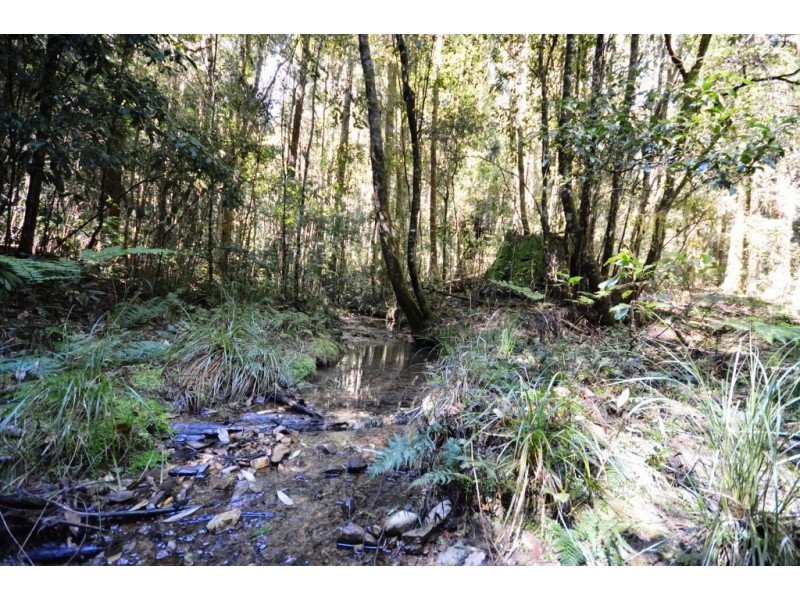 886 Camp Creek Road, Lowanna NSW 2450