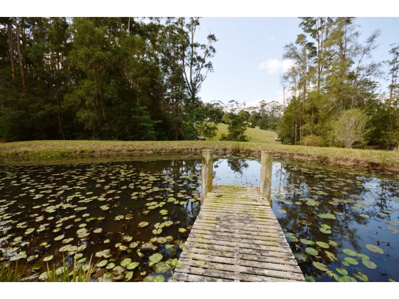 14 Bellbird Close, Moonee Beach NSW 2450