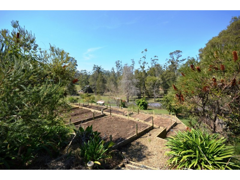 14 Bellbird Close, Moonee Beach NSW 2450
