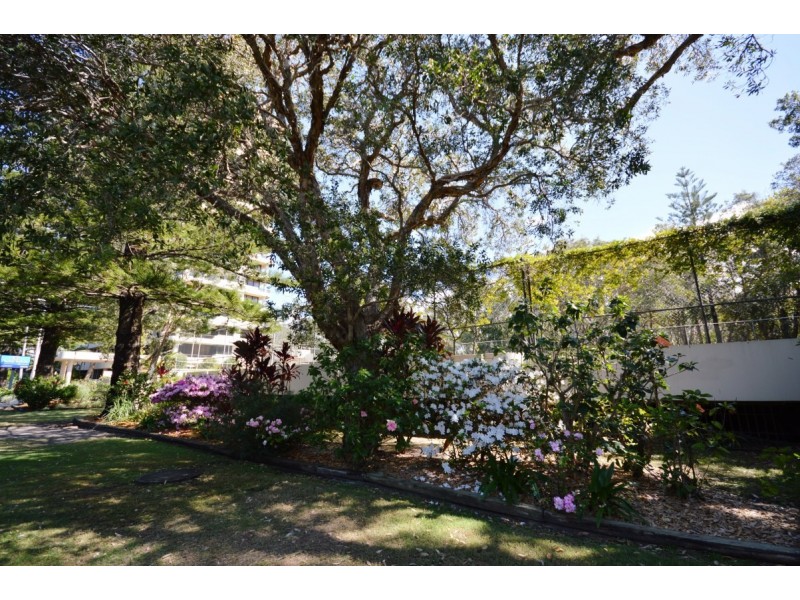 1003/121 Ocean Parade, Coffs Harbour NSW 2450