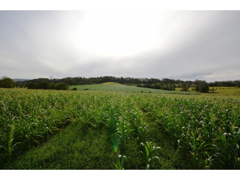 Lot 354 Ferretts Road, Nana Glen NSW 2450