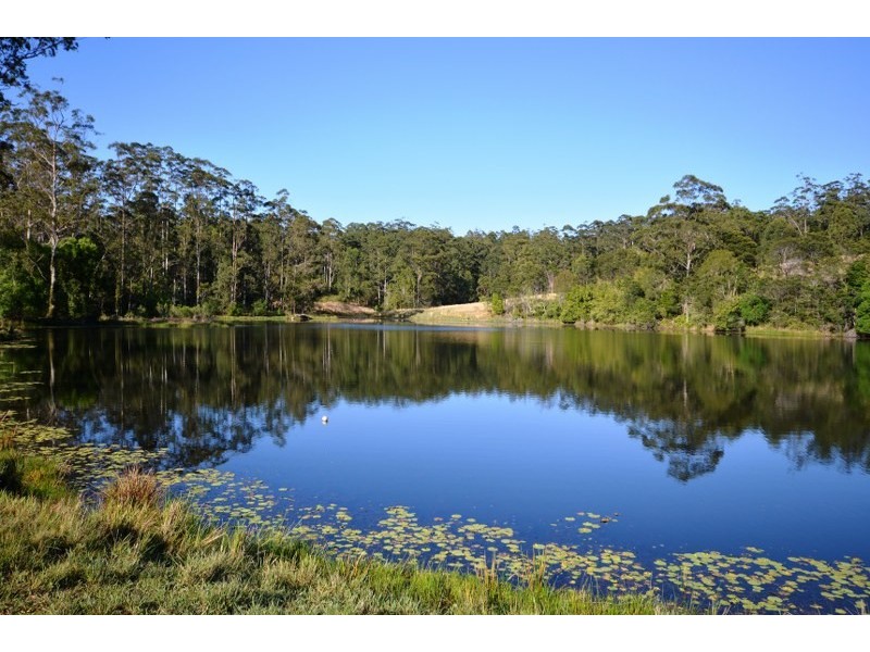 1041 Bucca Road, Bucca NSW 2450