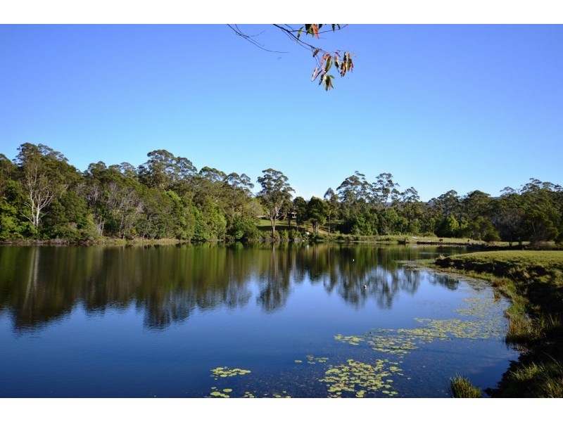 1041 Bucca Road, Bucca NSW 2450