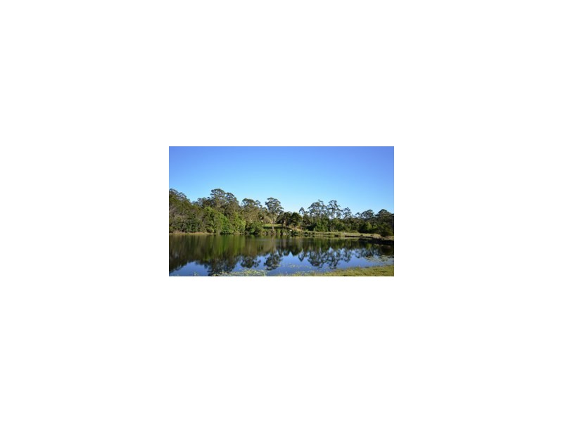 1041 Bucca Road, Bucca NSW 2450