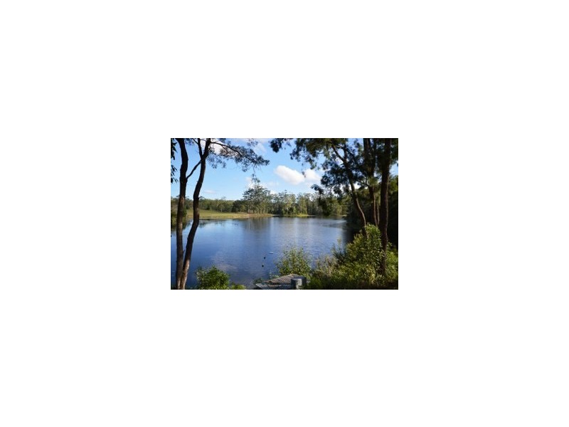 1041 Bucca Road, Bucca NSW 2450