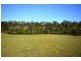 1041 Bucca Road, Bucca NSW 2450