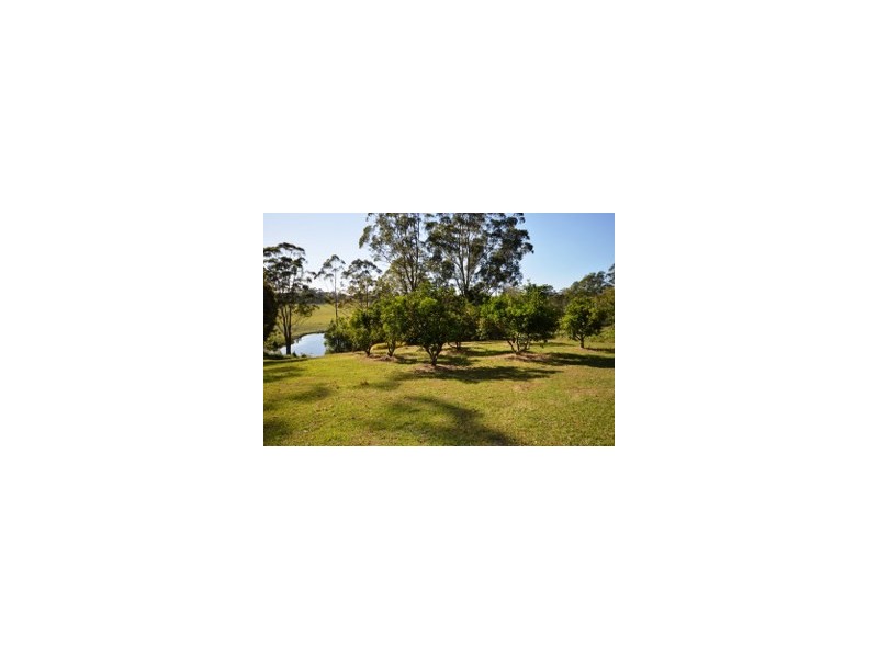 1041 Bucca Road, Bucca NSW 2450