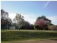 1041 Bucca Road, Bucca NSW 2450