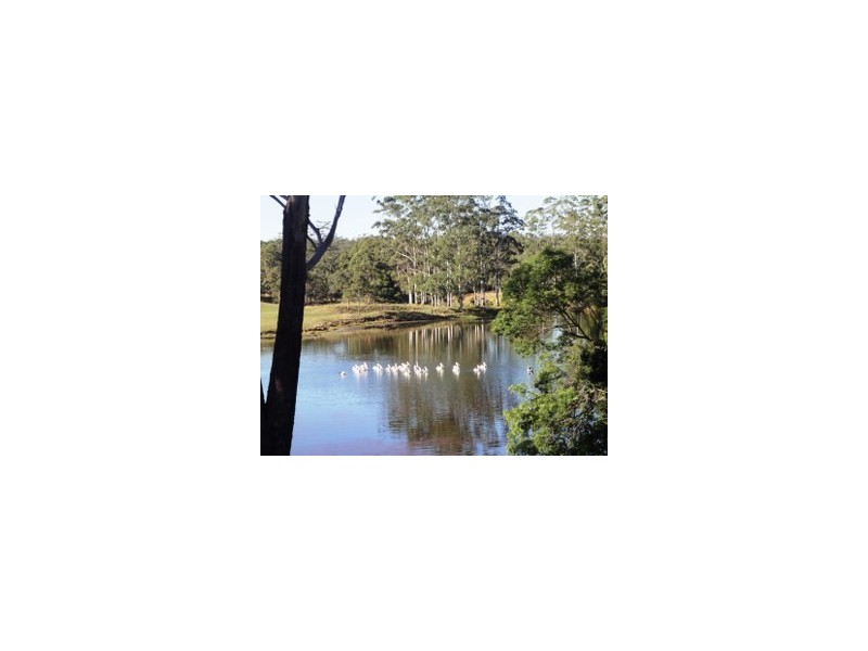 1041 Bucca Road, Bucca NSW 2450