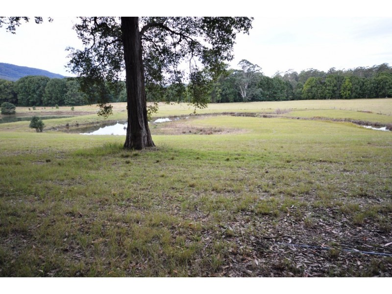 100 Randalls Road, Bucca NSW 2450