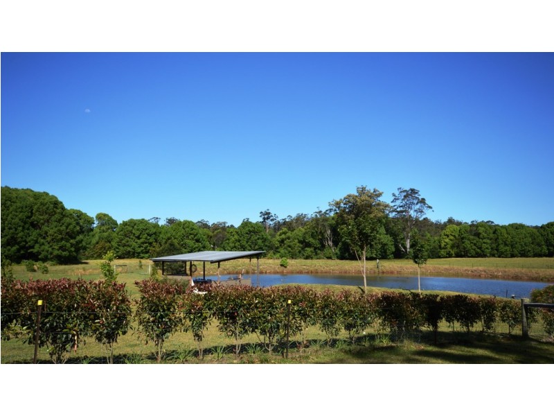 100 Randalls Road, Bucca NSW 2450