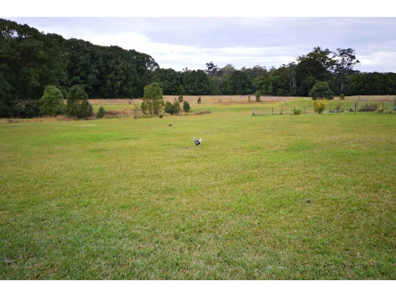 100 Randalls Road, Bucca NSW 2450