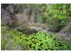 52 Walters Road, Upper Orara NSW 2450