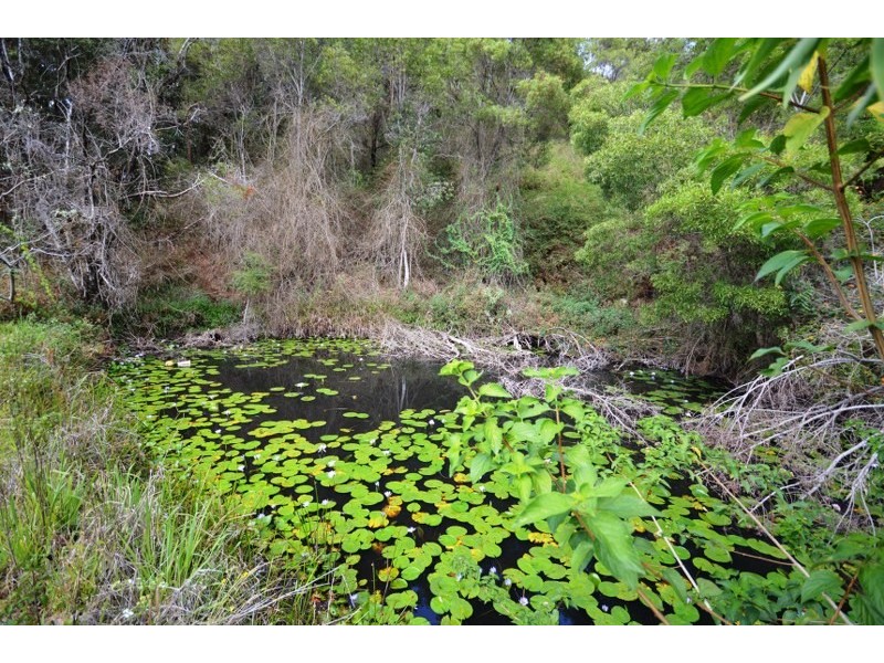 52 Walters Road, Upper Orara NSW 2450