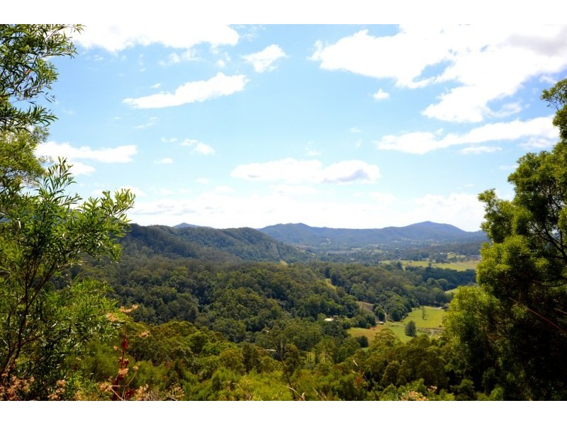 52 Walters Road, Upper Orara NSW 2450
