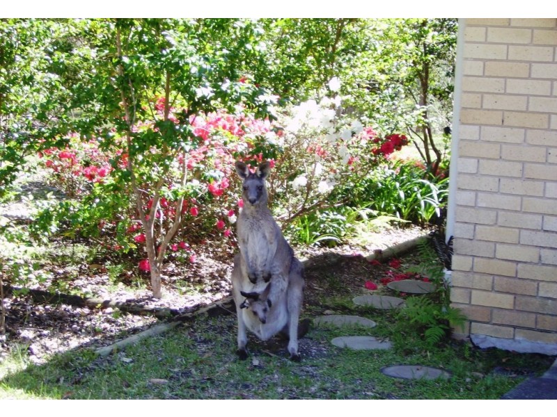 332 Hungry Head Road, Urunga NSW 2455