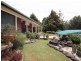1041 Bucca Road, Bucca NSW 2450