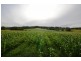 Lot 354 Ferretts Road, Nana Glen NSW 2450