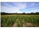 Lot 354 Ferretts Road, Nana Glen NSW 2450