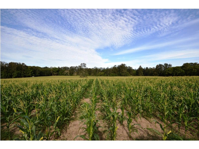 Lot 354 Ferretts Road, Nana Glen NSW 2450