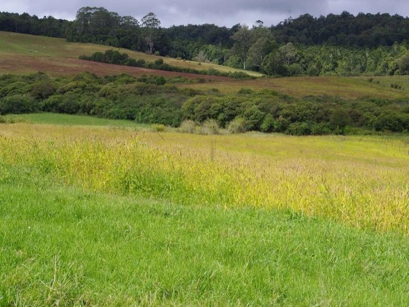 Lot 13 Cavanaghs Road, Lowanna NSW 2450