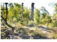 20b Skinner Close, Emerald Beach NSW 2456