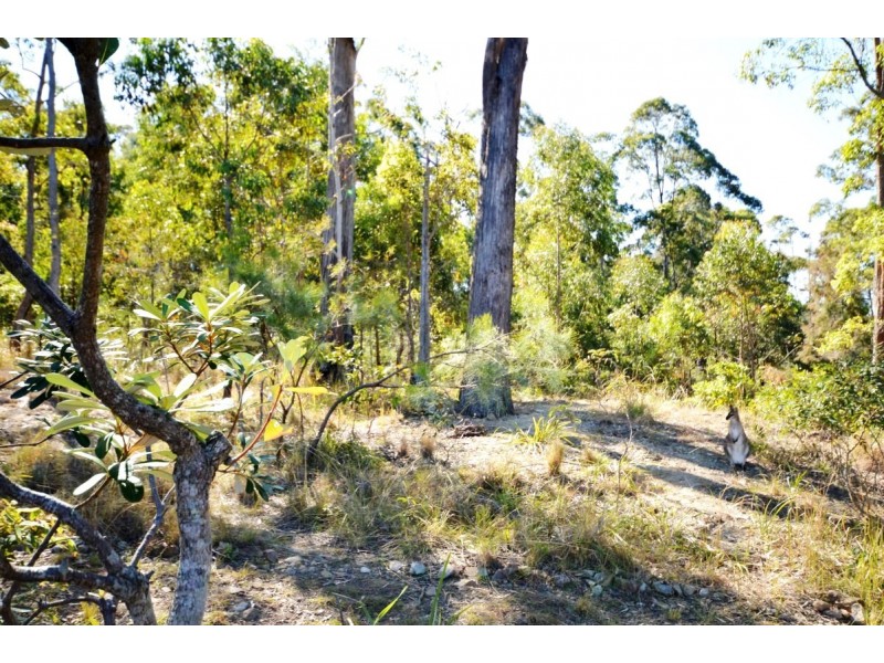 20b Skinner Close, Emerald Beach NSW 2456