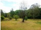 1424 Bucca Road, Nana Glen NSW 2450