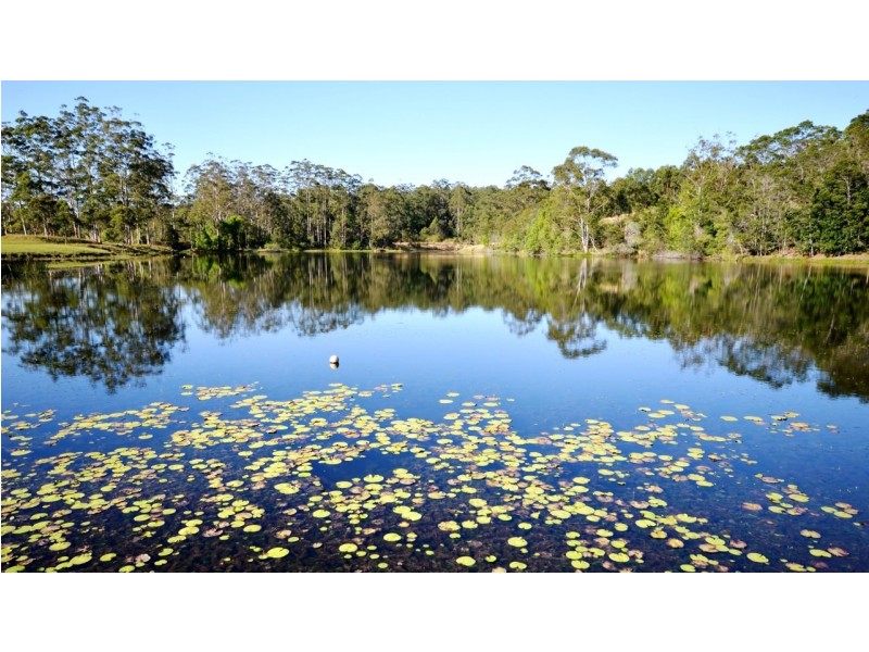 1041 Bucca Road, Coffs Harbour NSW 2450