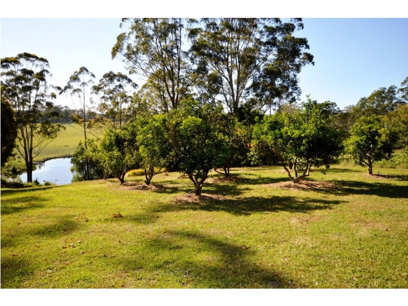 1041 Bucca Road, Coffs Harbour NSW 2450