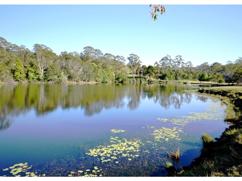 1041 Bucca Road, Coffs Harbour NSW 2450