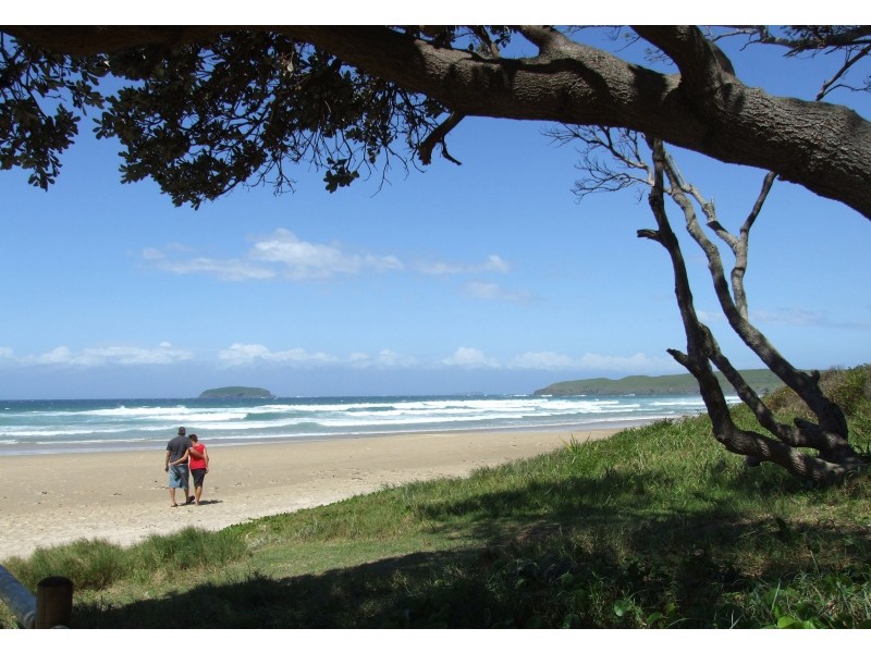 33 Blackbutt Avenue, Sandy Beach NSW 2456