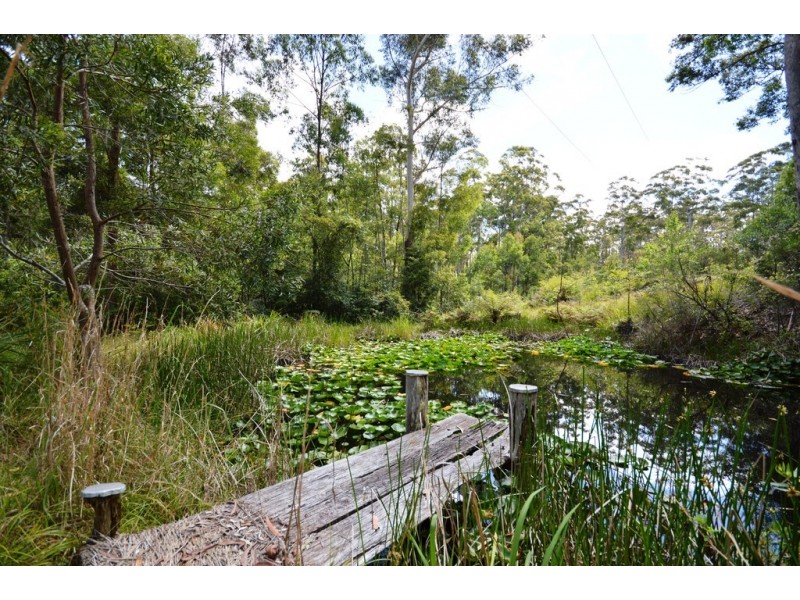 8 Blackbutt Ridge Road, Lowanna NSW 2450