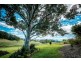 59 Reids Road, Bellingen NSW 2454