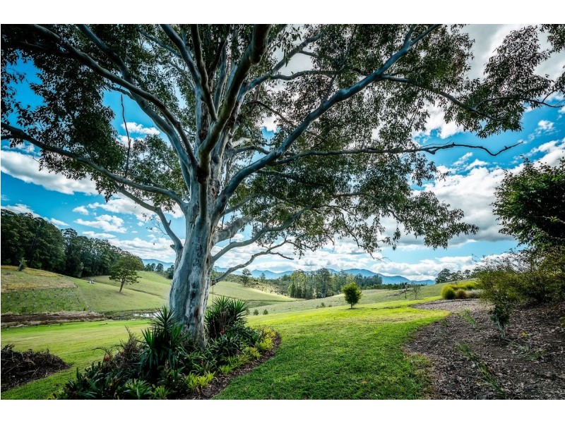 59 Reids Road, Bellingen NSW 2454