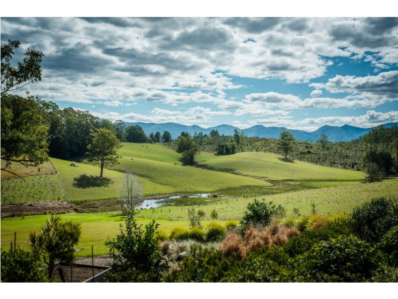 59 Reids Road, Bellingen NSW 2454