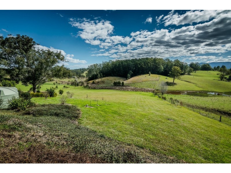 59 Reids Road, Bellingen NSW 2454