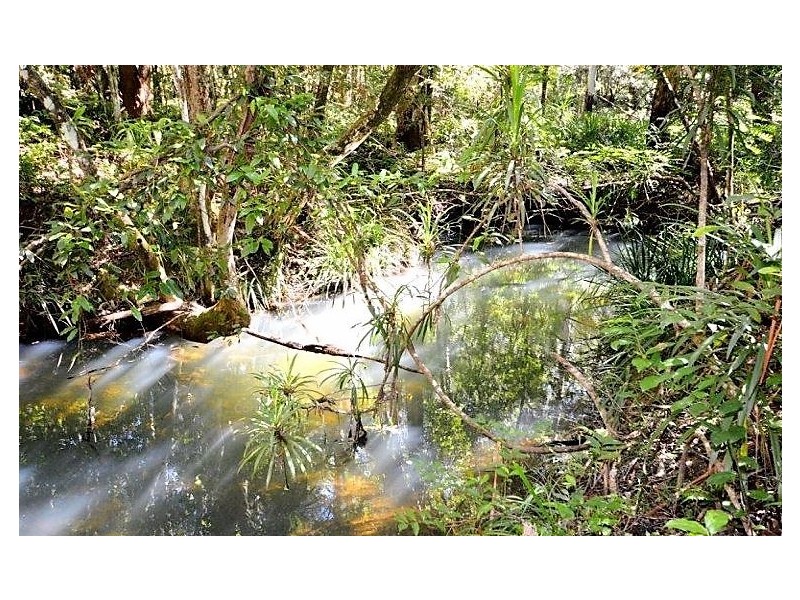 139 Johnsons Road, Sandy Beach NSW 2456