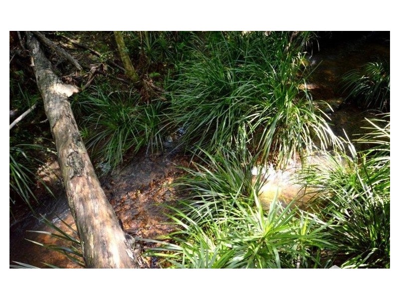 139 Johnsons Road, Sandy Beach NSW 2456