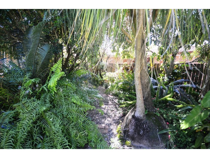 73 Reid Drive, Coffs Harbour NSW 2450