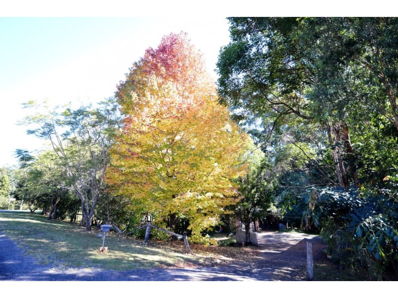 40 Grandis Road, Bonville NSW 2441