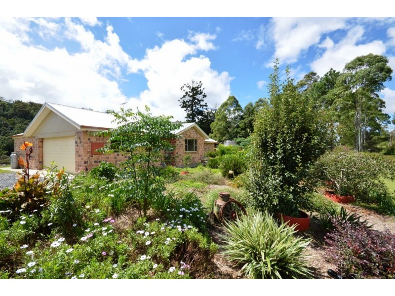 206 Timmsvale Road, Ulong NSW 2450