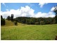206 Timmsvale Road, Ulong NSW 2450