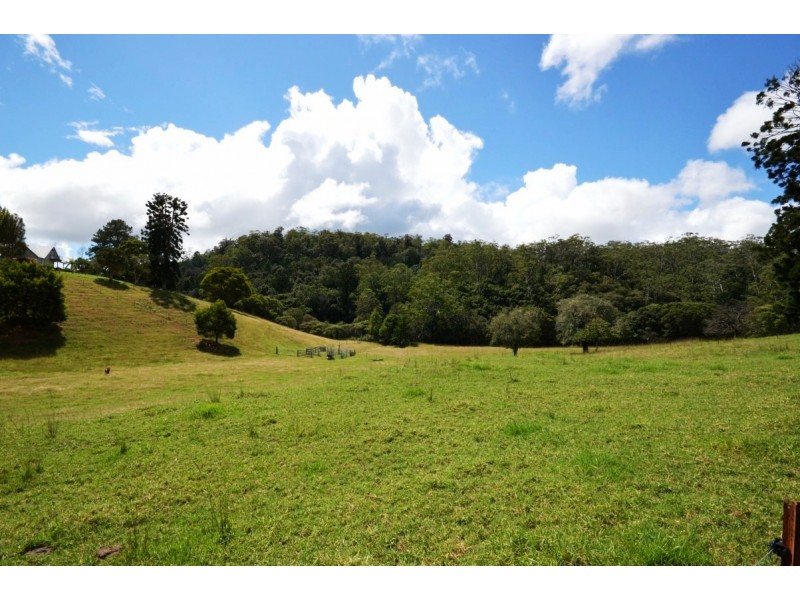 206 Timmsvale Road, Ulong NSW 2450